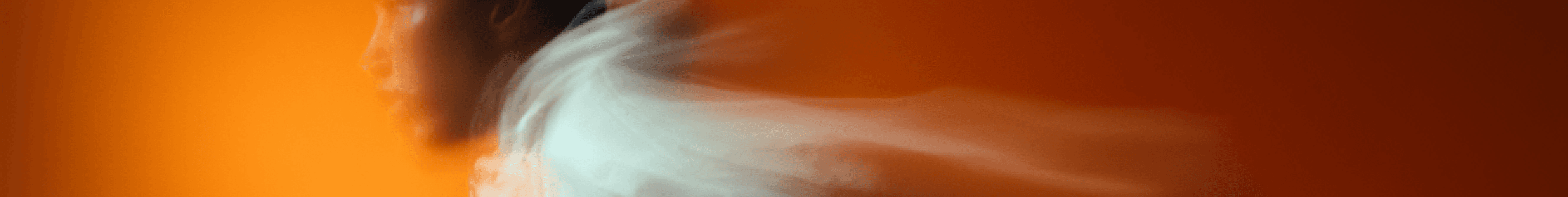 Nestora Studio Screenshot 4